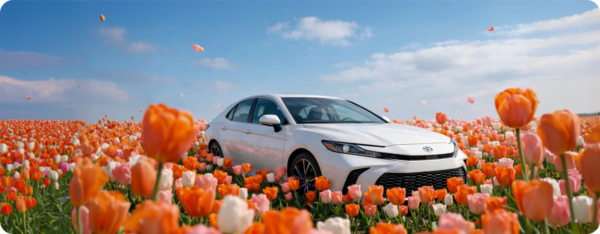 Get the Best Deals on Car Rentals Today